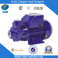 Qb80 1 HP Motor Water Pump